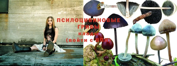 трава Алзамай